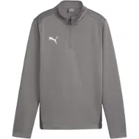 Puma T-Shirt fonctionnel 'Team Goal' gris