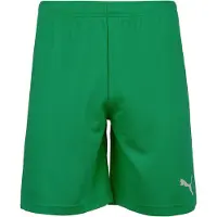 Puma Pantalon de sport 'TeamRise' vert / blanc