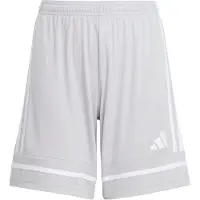 Adidas Pantalon de sport 'Squadra 25' gris / blanc