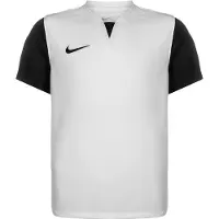 Nike T-Shirt fonctionnel 'Trophy V' gris clair / noir