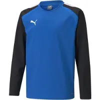 Puma T-Shirt fonctionnel 'TeamLiga' bleu / noir
