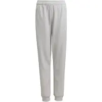 Adidas Tiro 25 Pants Gris 13-14 Years Enfants