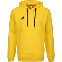 Adidas Entrada 22 Hoodie Jaune M / Regular Homme