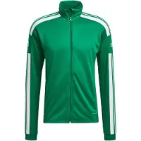 Adidas Squadra 21 Training Jacket Vert S / Regular Homme