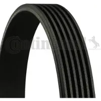 CONTITECH Courroie trapézoïdale à nervures CONTINENTAL 6PK1590