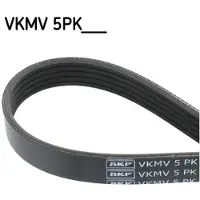 Skf VKMV 5PK1030 Multiriem