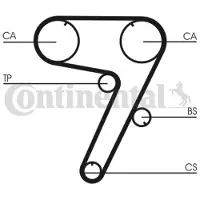 CONTITECH Kit distribution CONTINENTAL CT931K1