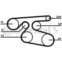 CONTITECH Courroie trapézoïdale à nervures CONTINENTAL 7PK2000