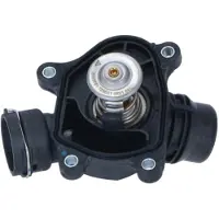NRF Thermostat d'eau 725041