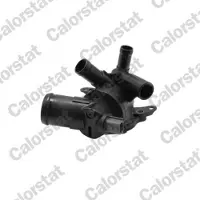 CALORSTAT by Vernet Thermostat TE7366.95J