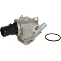 THERMOTEC Thermostat d'eau D2D004TT