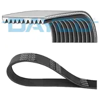 DAYCO Courroie trapézoïdale à nervures 10PK2108HD