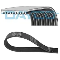 DAYCO Courroie trapézoïdale à nervures 10PK1715HD
