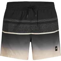 O'Neill Gradient 15´´ Swimming Shorts Noir L Homme
