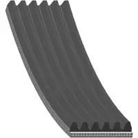 Blue Print AD06R1875 Multiriem