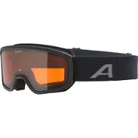 Alpina Masque de ski