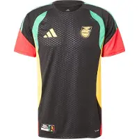 Adidas Jamaica 26/27 Training Short Sleeve T-shirt Noir M / Regular Homme