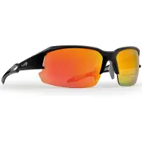 Demon Tiger Sun, lunettes de soleil avec champ de lecture, noir/gris