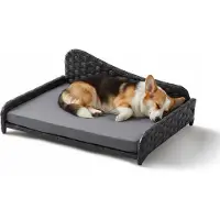 Relaxdays Lit pour chien en rotin, L, dimensions : 25 x 63 x 46 cm, couchage surélevé avec coussin, canapé pour chien, pour l'extérieur et l'intérieur, gris