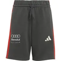 Adidas Audi F1 Team Dna Shorts Noir 11-12 Years Enfants