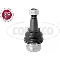 CORTECO Articulation avant droite avant gauche pour AUDI A4 Avant (8K5, B8) 49395958