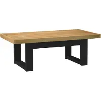 vidaXL Table basse NOAIN pieds en forme de U 120x60x40 cm pin massif