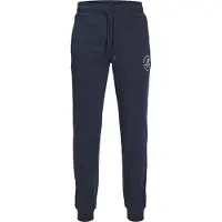 Jack & Jones Pantalon 'Gordon' | 50 | male