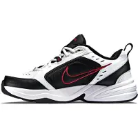 Nike Chaussure de sport 'Monarch IV'