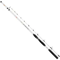 Colmic Canne Pêche De Fond Panter Xt