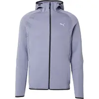 Puma Sweatshirt Evostripe Hommes