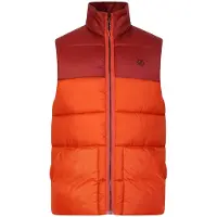 Regatta Dare 2B - Gilet matelassé « City » pour homme RG9242 (XXL) (thé rooibos/brun garance)