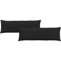 vidaXL Coussins de canapé 2 pcs Noir 120 x 40 cm tissu