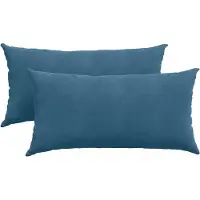 vidaXL Coussins de canapé 2 pcs Bleu 80 x 40 cm