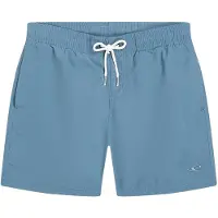 O'Neill Vert Swimming Shorts Bleu 13-14 Years Garçon