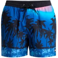 Quiksilver Everyday Printed Volley 15´´ Swimming Shorts Bleu L Homme