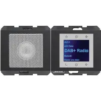 Berker 29807006 (DAB), Radio, Noir, Gris