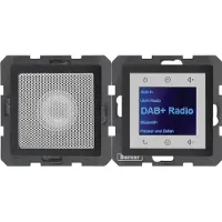 Berker 29806086 (DAB+ DAB, FM, Bluetooth), Radio, Noir