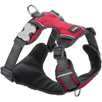 Red Dingo Harnais pour chien rembourré rouge taille L