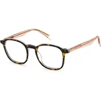 Polaroid Lunettes de Vue PLD D393 49/20/145 Havana crystal Acetate MAN PLD D393