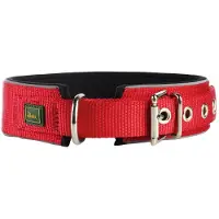 Hunter Pet Collier Réfléchissant