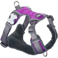 Red Dingo Padded Dog Harness Violet XS