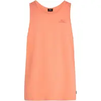 O'Neill T-Shirt 'Slub' orange clair