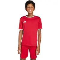Adidas T-Shirt fonctionnel 'Entrada26' rouge sang / blanc