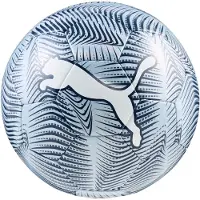 Puma 4