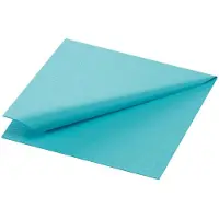 Duni Servir (250 pcs, 24 x 24 cm)