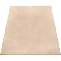Tapis.nl Tapis en fourrure Fluffy sable 120x160 cm