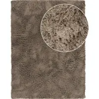 Tapis.fr Tapis à poils longs Silvana taupe 200x280 cm