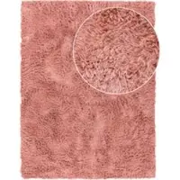 Tapis.fr Tapis à poils longs Silvana couleur baie 60x100 cm