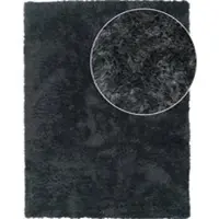 Tapis.fr Tapis à poils longs Silvana anthracite 160x220 cm