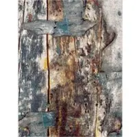 Tapis.fr Tapis Naturosis multicolore 200x290 cm
